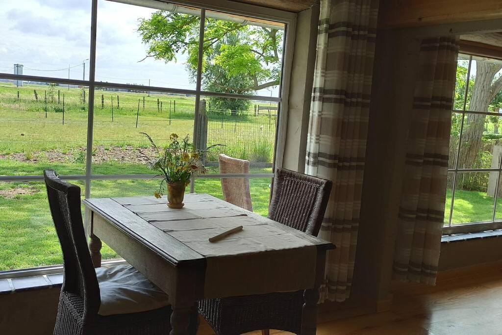 דה האן Korentil . Cosy House With Private Garden מראה חיצוני תמונה